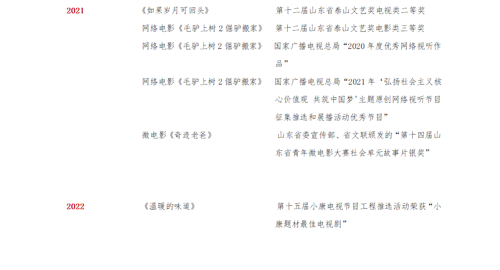 集团荣誉